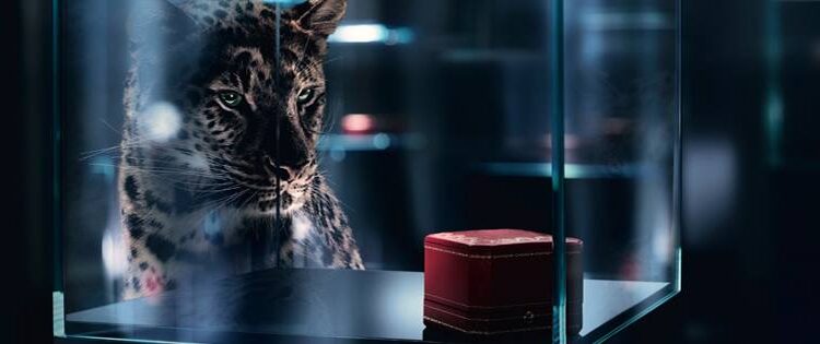 " كارتييه وتيفاني"ينهيان نزاعهما القانوني بعد عام من التقاضي 88 ” كارتييه وتيفاني”ينهيان نزاعهما القانوني بعد عام من التقاضي