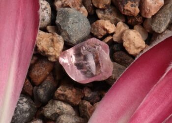 “بايونير ديموند” تبيع ماسة وردية اللون بقيمة 8 ملايين دولار