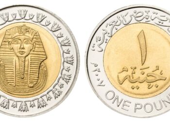 «فيتش» تتوقع تراجع الجنيه ليسجل 38 جنيها في البنوك المصرية