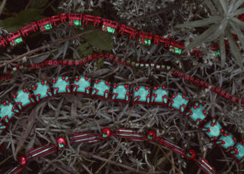 «صائغي المجوهرات» يطلق معرض «شاين» للمصممين الموهوبين الناشئين