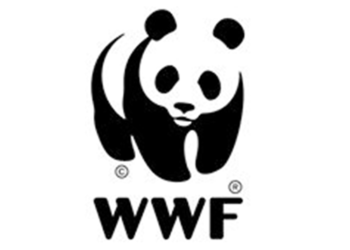 “الصندوق العالمي للطبيعة”: العلامات التجارية للمجوهرات والساعات يجب أن تكون أكثر شفافية