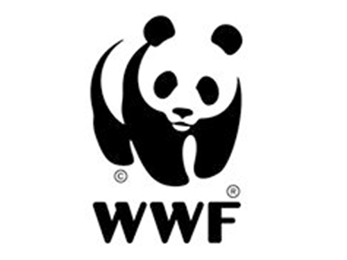 "الصندوق العالمي للطبيعة": العلامات التجارية للمجوهرات والساعات يجب أن تكون أكثر شفافية 88 “الصندوق العالمي للطبيعة”: العلامات التجارية للمجوهرات والساعات يجب أن تكون أكثر شفافية