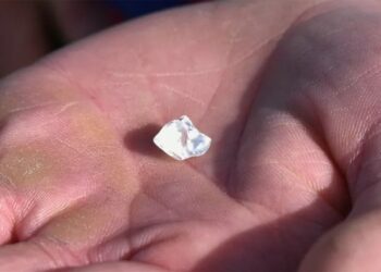 رجل يعثر على ماسة تزن 5 قيراط في حديقة كريتر أوف دايموندز الحكومية
