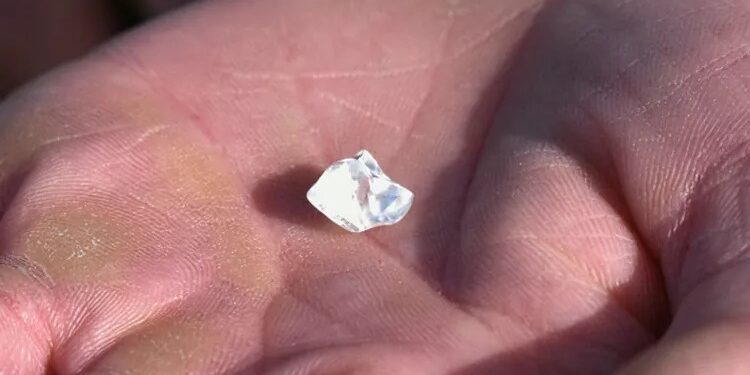 رجل يعثر على ماسة تزن 5 قيراط في حديقة كريتر أوف دايموندز الحكومية