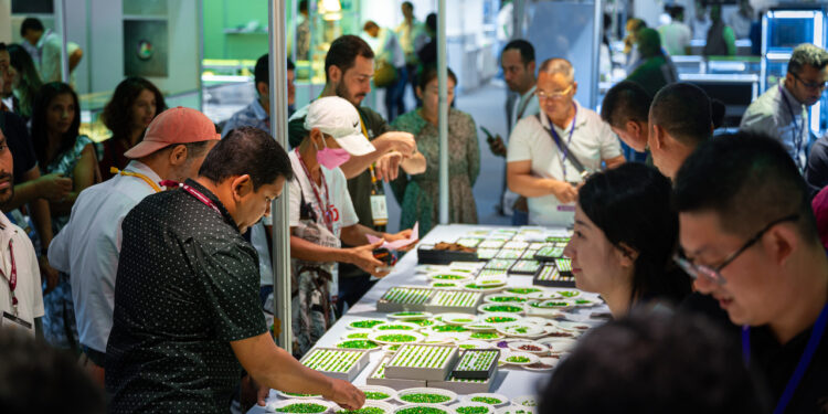 انطلاق النسخة 69 من معرض بانكوك الدولي للمجوهرات فبراير المقبل 92 انطلاق النسخة 69 من معرض بانكوك الدولي للمجوهرات فبراير المقبل