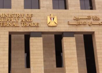 «التموين»: مصادرة 84 كيلو من المشغولات المزيفة وضبط 36 قلم لتزوير الدمغة في 2023