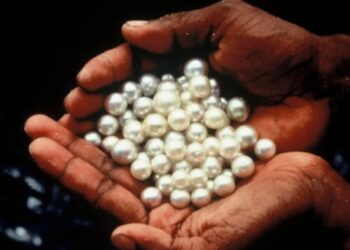 رابابورت تتعاون مع البحرين وتطلق مزادًا للؤلؤ الطبيعي الشهر المقبل