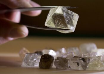 أزمة في الهند بعد حظر فرنسا مصطلح «الألماس المصنع معمليًا»