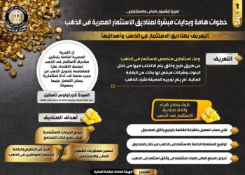 مجلس الوزراء يستعرض دور صناديق الاستثمار في الذهب في تعزيز الشمول المالي