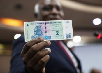 لماذا فقدت عملة زيمبابوي المدعومة بالذهب نصف قيمتها؟
