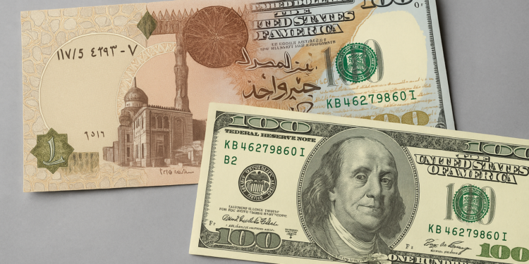 هل هبوط الدولار في مصر «حقيقي» أم «مُدار»؟ 94 هل هبوط الدولار في مصر «حقيقي» أم «مُدار»؟