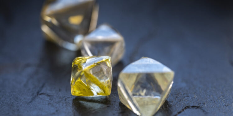 بوتسوانا مستعدة للشراكة مع روسيا في تجارة الماس 96 بوتسوانا مستعدة للشراكة مع روسيا في تجارة الماس